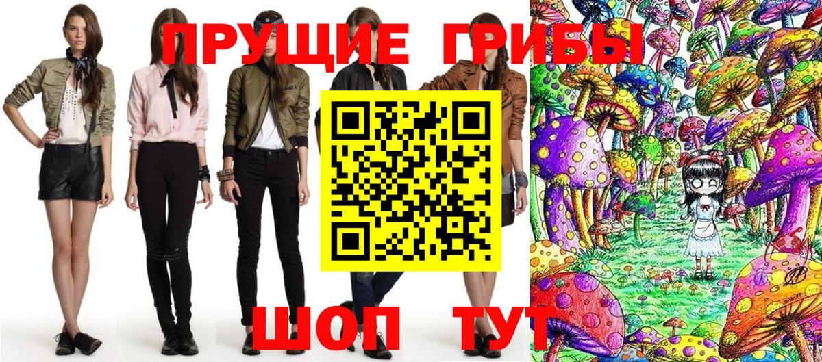 Псилоцибиновые грибы прущие грибы Тамбов