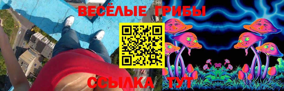 Псилоцибиновые грибы GOLDEN TEACHER  Вход с VPN  Тамбов 