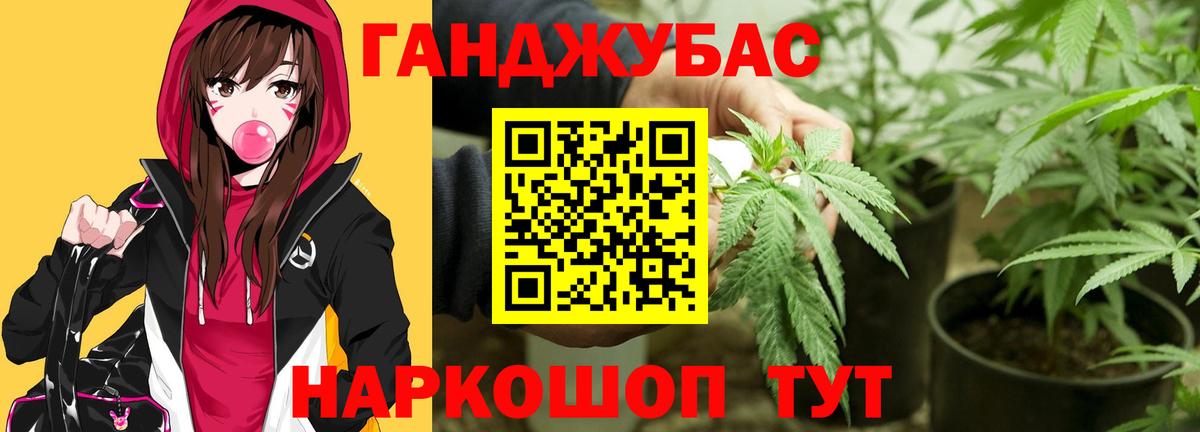 Бошки марихуана конопля Тамбов