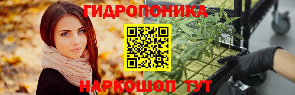 Тамбов  Марихуана сатива  Вход с VPN  Конопля SATIVA & INDICA  МАРИХУАНА VHQ 